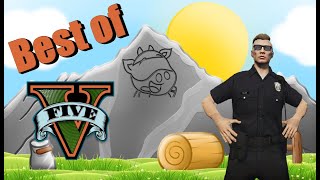 Guter Cop Shepherd, Böser Cop Shadid (KW5Life) - GTA RP