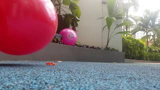 Balloon pop with 80cm space hopper
