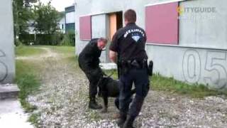 B.P.S.Brilliant Personal Security GmbH, Wallisellen; ...