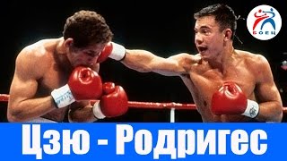 Костя Цзю против Джейка Родригеса. Бокс. Бой №14.