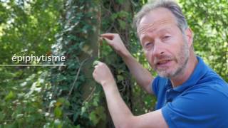 Séquence 5 sujet 3 1  Interaction entre plantes