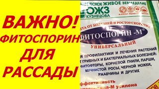 ФИТОСПОРИН - ОБЯЗАТЕЛЕН ДЛЯ РАССАДЫ   НЕ РИСКУЙТЕ !