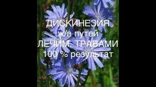 Дискинезия. Как лечить травами . Желчегонные чаи. Доверяй Но проверяй .
