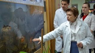 Рыбоводство и аквакультура. Коллекция разных видов рыб  УрГАУ