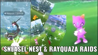 SNEASEL NEST SHINY HUNT! / Shiny Rayquaza Raids | Pokémon GO