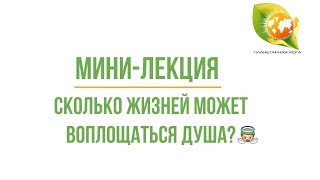 Мини-лекция: Сколько жизней может воплощаться Душа? | Реинкарнация