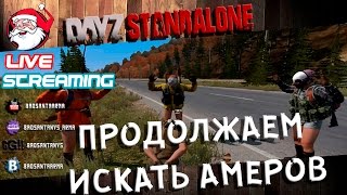 Продолжаем искать Амеров [Dayz] (запись стрима)