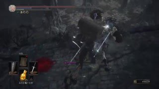 DARK SOULS III фарм Псы Фаррона \  Covenant: Watchdogs of Farron - farming
