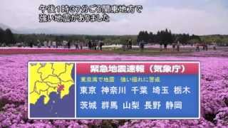 [首都直下型地震シュミレーション] 東京湾北部地震 マグニチュード７．３