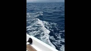 ΒΑΡΚΑ 3.60 ΕΝ ΠΛΩ