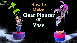 Make Clear Planter / Vase | unique & Unusual idea | Creative Table Top Planter //GREEN PLANTS