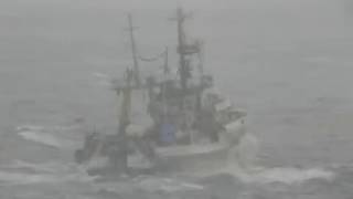 СТР "Калиновка"(Проект 503)  в  шторм / STR "Kalinovka"  in storm