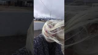 Windy