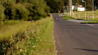 Yamaha TZR 50 Carlos Checa VS Aprilla RS 50