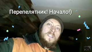 Делаю перепелятник! Сарай из хлама!