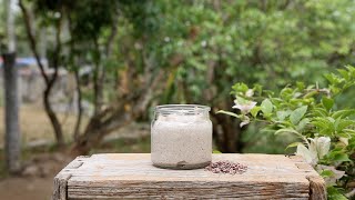 WEEK 4 : I Found a New Way To Stop The Worst Hair Fall | Flaxseeds (Season 1)