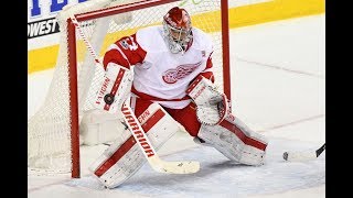 Red Wings Run Circles Around the Oilers