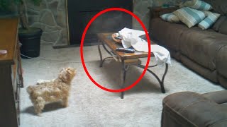 5 Mysterious Events Caught On Camera ? Unexplained Mysteries