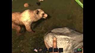 Жесткий и веселый баг в Rust Legacy