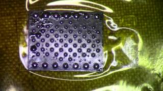 iPhone 6s+ HHD (NAND) Reball using Premade BGA Balls and Glass
