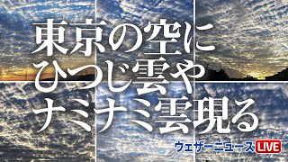 関東の空　ひつじ雲やナミナミとした波状雲