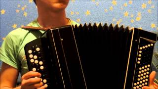 Martin Garrix - Animals. Accordion Cover. ( на баяне )
