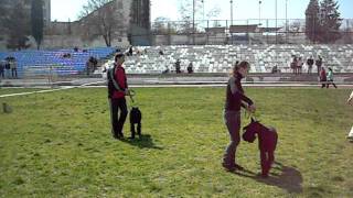 Roman-Kosh Еson Rain, Roman-Kosh Dgaiv Quick. UKRAINE. SEVASTOPOL