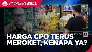 Perang Hingga Larangan Ekspor RI Bikin Harga CPO Terus Meroket