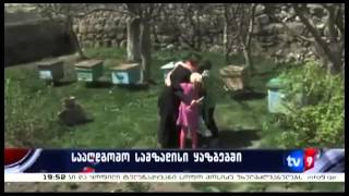 saagdgomo tradiciebi da samzadisi dgesaswaulistvis yazbegshi  tv9  2013