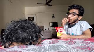 funny videos Friends forever