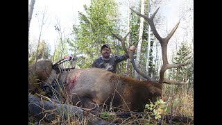 Wyoming Archery elk