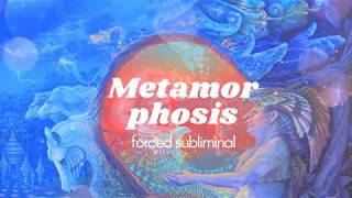 Metamorphosis -forced sub