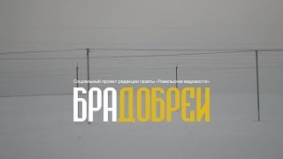 БРАДОБРЕИ. Шубино
