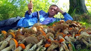Осенние грибы ǀ ЧТО ПРОИЗОШЛО С ГРИБАМИ ǀ грибы в Сентябре
