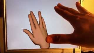 Rigged Hand Animation with JavaFX and Leap Motion