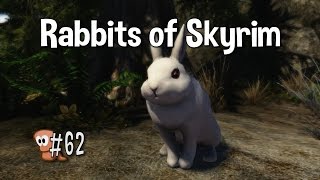 Skyrim Mods #62 - Rabbits of Skyrim