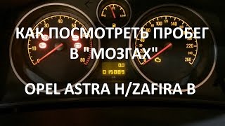 Как посмотреть пробег в "мозгах" Opel Astra H/Zafira B