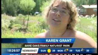Skinny-Dip report - A Channel News, Barrie
