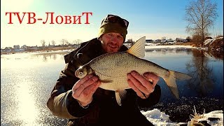 Первая весенняя СУПЕР рыбалка | Ловля крупных карасей карпов лещей плотвы и язей на фидер!
