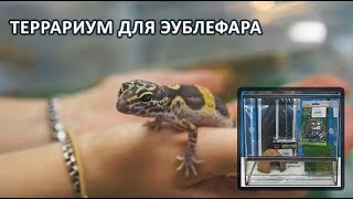 Террариумный комплект для пятнистого эублефара - MINI