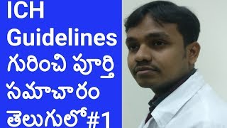 How to know about ICH Guidelines in Telugu || ICH Guidelines in Pharma Industry || Pharma Guide