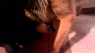 VID_20110620_230829