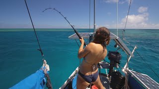 Finding Fish ? ??: It's Easy When You Know How - Ep 94