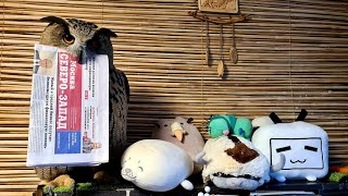 Сова не знает, чем заняться, в ожидании снега. Дракон покоряет высоту