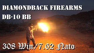 Shooting the AR 10 Diamondback DB 10 BB