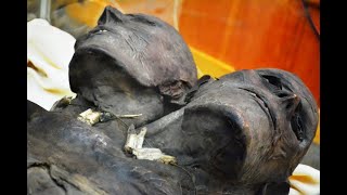 Священник из Ватикана случайно открыл комнату с невероятными артефактами, эту тайну больше не скрыть