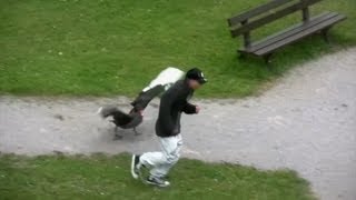 Schwan Attacken (Part 8) Schloss Ringenberg - angry swan attacks
