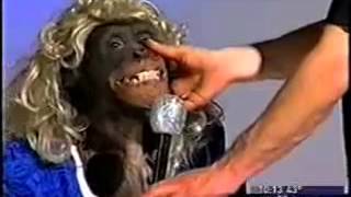 Monkey abuse   while the cameras are rolling