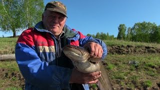 Рыбалка.Вот это удача! ловили карасей и поймали сомов.