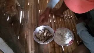 WALK IN OUR RICEFIELD FARM PROPERTY EXPAT LIVING IN THE PHILIPPINES (TALIKLIK'S CORNER)